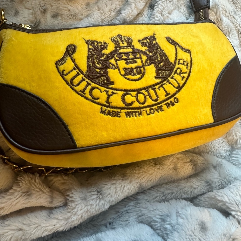 y2k Juicy couture bag